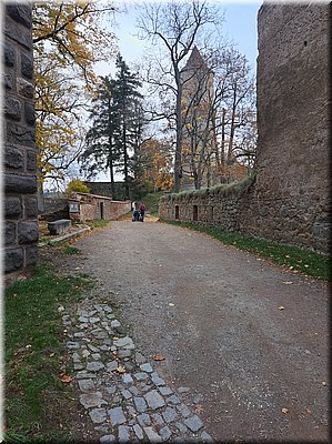 241027-BertikemnaZvikov-154218.jpg