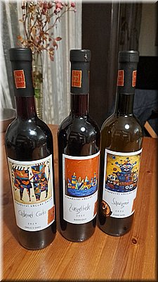 241115-vinoSalsa3x.jpeg