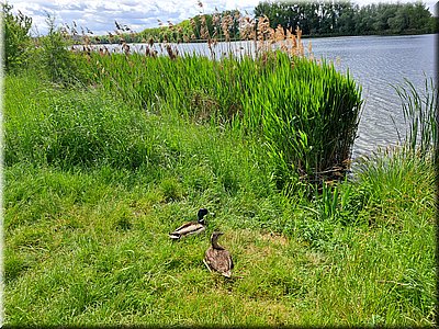 250523-Nanuq-Srby-114840.jpg