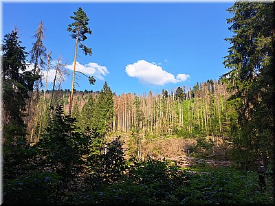 250810-KlostermannuvMost-sRenkou-174443.jpg