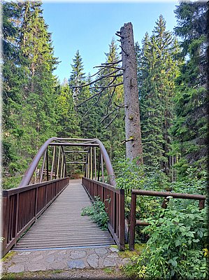 250810-KlostermannuvMost-sRenkou-174727.jpg