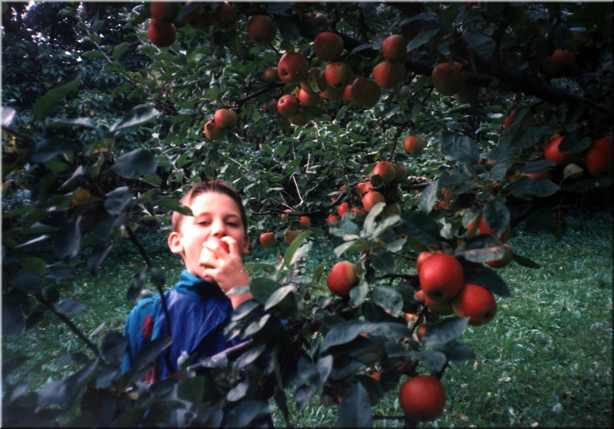 1996-Tomik-s-jablkem.jpg